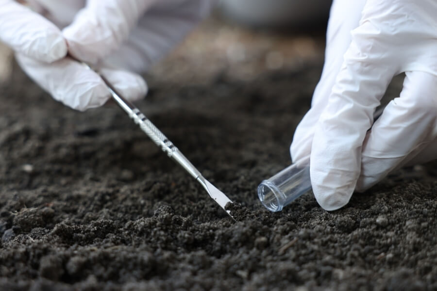 Toprak Analizi Nedir? Verimi Artıran En Önemli Adım