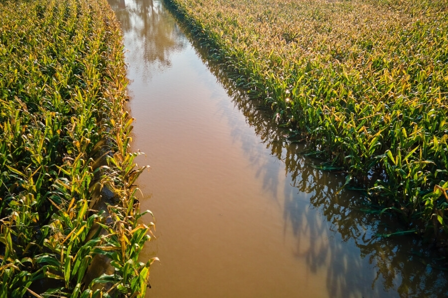 Sulama Suyu Analizi ile Toprak ve Ürün Sağlığını Koruyun